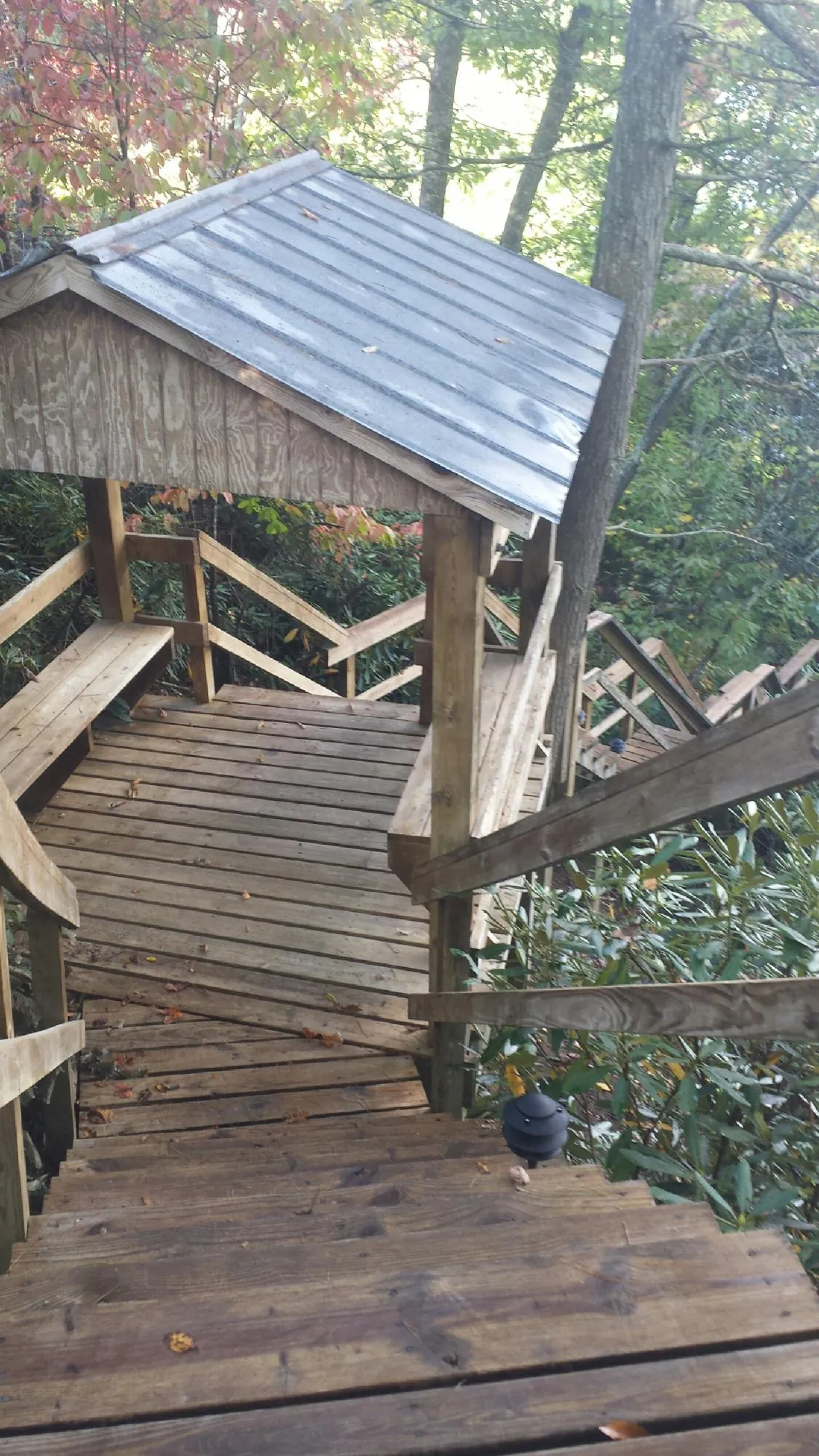 Metal roofed shelter over wooden steps on a wooded walkway — Skylight Repair & Installation work by our crew in Mc Bee
